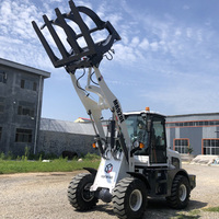 Landwirtschaftlicher Lader Elektrischer Hoflader Radlader