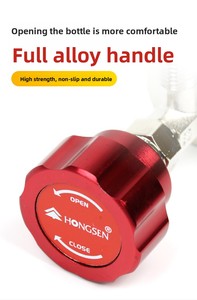 Outil de remplissage de bouteille de réfrigérant R134A pour climatisation automobile, type neige, pour HongSen HS-339A <span class=keywords><strong>OLIVER</strong></span> 14 pouces - Product Image 3