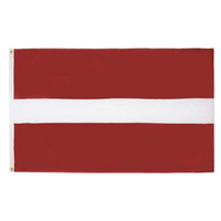 Ensemble d'accessoires de haute qualité pour la Lituanie : décorations personnalisées pour événements sportifs, thème drapeau national, pour les supporters.