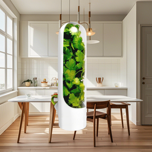 New Product 2024 <strong>Herb</strong> Savor Storage Container Refrigerator <strong>Herb</strong> Saver Transparent Plastic Customized Logo Color <strong>Box</strong> White 100pcs - Product Image 2