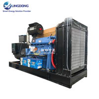 Générateur diesel Steyr P10 Power 200 kW triphasé CA de type ouvert 250 kVA avec télécommande et interrupteur ATS pour usine