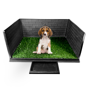 Alfombra de césped artificial <span class=keywords><strong>para</strong></span> perros con bandeja, equipo de entrenamiento <span class=keywords><strong>para</strong></span> orinar en interiores, inodoro <span class=keywords><strong>para</strong></span> perros machos con rejilla, inodoro <span class=keywords><strong>para</strong></span> perros, caja de arena <span class=keywords><strong>para</strong></span> perros - Product Image 1