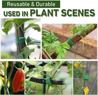 Ruban auto-adhésif double face réutilisable, écologique et imperméable pour le jardinage et le cerclage