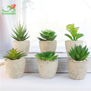 Fábrica de alta calidad pulpa en maceta <span class=keywords><strong>plantas</strong></span> suculentas <span class=keywords><strong>artificiales</strong></span> Mini planta suculenta decorativa para la decoración de la Mesa de la oficina en casa - Product Image 2