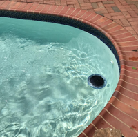 Nettoyeur de chlorinateur de sel de piscine à ioniseur solaire de technologie professionnelle