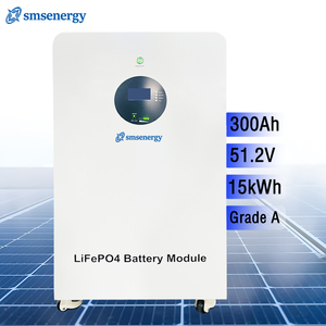 Batería Doméstica LFP de 15 kWh, 10000 Ciclos, Montaje en Pared, 51,2 V, 314 Ah, Almacenamiento Solar con Control WiFi para el Mercado de la UE y EE. UU. - Product Image 1