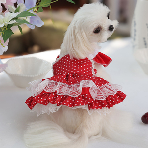 Abito da Principessa Rosso Squisito Ispirato a Lolita per <span class=keywords><strong>Cani</strong></span> <span class=keywords><strong>di</strong></span> Piccola Taglia in Poliestere a Pois - Personalizzazione B2B Transfrontaliera - Product Image 1