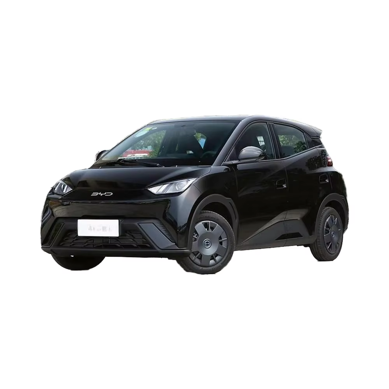 2025 BYD Seagull Dynamic Version Electric