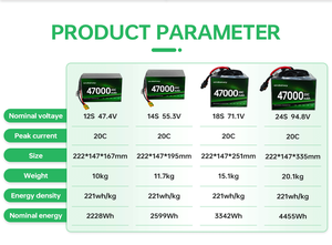 Baterías para Drones Industriales 47000mah HV, Paquete de Baterías de Estado Sólido Personalizado, Baja Temperatura, Alta Energía, 6S 12S 18S 24S ODM/OEM CYE 47 - Product Image 3