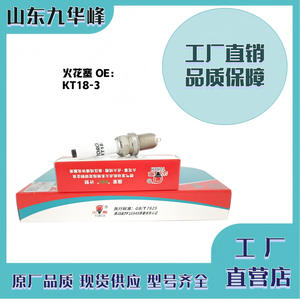 Bujía de Encendido Kt18-3 para Motor de Gas LPG, Compatible con Electrodo Estándar - Product Image 4