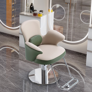 2026New Model Factory Wholesale Stainless Steel Hair Salon Chair Hair Chair with Rotating and Elevating Function Salon Furniture - Product Image 1