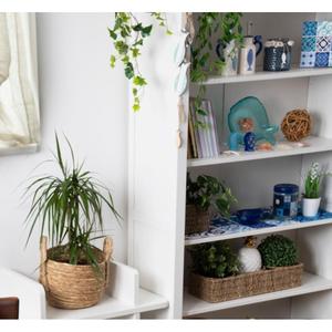 Tarro de Vidrio para Almacenamiento Excelsa Maiolica Azul 10x13,5x10 cm Hecho en Italia - Product Image 3