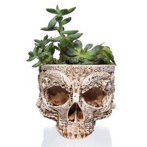 <span class=keywords><strong>Maceta</strong></span> de Resina con Diseño de <span class=keywords><strong>Calavera</strong></span> de Halloween, Estilo Nuevo, Creativa, para Plantas de Interior, Artesanía, Venta al por Mayor - Product Image 2