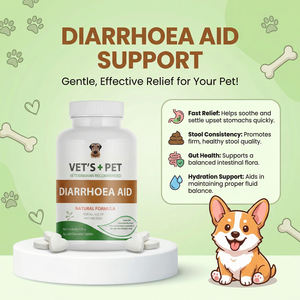 Probióticos y Enzimas Digestivas para <span class=keywords><strong>Perros</strong></span> de Marca Blanca, Suplemento para la Salud Intestinal, Apoyo para la Defecación, Tabletas Masticables, OEM ODM - Product Image 1