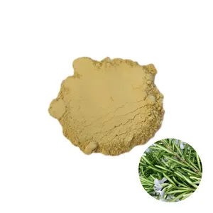 Top Quality Rosemary Extract Powder 20% Ursolic Acid Powder