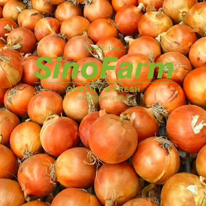 Cebollas Bawang <span class=keywords><strong>Bombay</strong></span> de Gran Tamaño a Precio Económico, en Bolsa de Malla de 25 kg, Precio al por Mayor, Vegetales Frescos para Exportación - Product Image 2