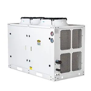 Box-Typ 0 Grad Kühlraumaufbewahrungseinheit für den Außenbereich 10 PS mit Bitzer-Kompressor 4 VES-10 Y