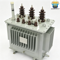 Transformateur triphasé immergé dans l'huile 100 kVA-33 kV.