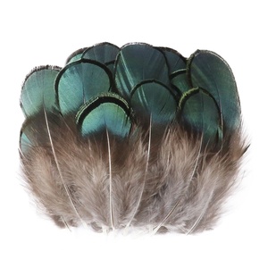 Bricolage 100 pièces 4-8CM cuivre Amherst pour femme, irisé, vert, Bronze, plume de <span class=keywords><strong>faisan</strong></span> doré, Plumage - Product Image 1