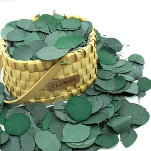 Feuilles d'eucalyptus naturelles personnalisées 100% feuilles d'eucalyptus préservées pour confettis de mariage/décoration de gâteau - Product Image 1