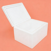 Boîte isotherme en carton biodégradable de grande taille avec polystyrène pour la vente en gros de fruits de mer