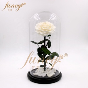 Set regalo di rosa incantata nuova bellezza conservata e la bestia rosa per San Valentino - Product Image 3