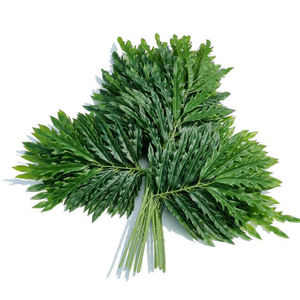 Rama de Ficus Artificial de Plástico, Ramas de Árbol de Ficus con Tacto <span class=keywords><strong>Real</strong></span>, Hojas de Ficus Verdes para Decoración - Product Image 4