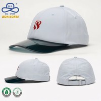 Gorra de Béisbol Moderna con Visera Transparente, Logotipo Bordado en 3D, Ajustable, Estilo Hip Hop, para Hombre y Mujer, Personalizable