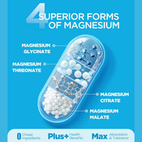 Kompleks Magnesium Herbal Berkualitas Tinggi untuk Kesehatan Otot & Saraf Vitamin B6 & D3 Bebas Gluten untuk Dewasa