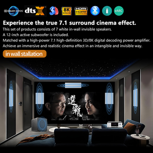 7.1dts trong tường rạp hát tại nhà hệ thống HD kỹ thuật số khuếch đại âm thanh vòm vô hình rạp hát tại nhà hệ thống - Product Image 2
