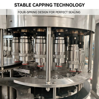Machine de lavage, de rinçage et de remplissage de bouteilles entièrement automatique pour jus de fruits, thé et boissons, certifiée CE, de haute qualité