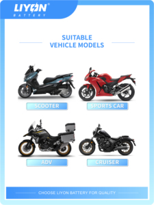 Nueva Batería de Arranque DENEL de 12V 8.6Ah de Alta Resistencia a Precio Competitivo para <span class=keywords><strong>CF</strong></span> <span class=keywords><strong>Moto</strong></span> Powersports <span class=keywords><strong>ATV</strong></span> UTV Quad Dune Buggy - Product Image 2