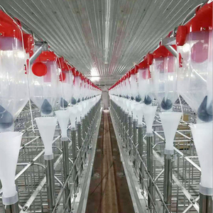 Hochwertiger PP-Kunststoff-Tropfen förderer für Schweine Neuzustand Automatisches Fütterung system Tier fütterer - Product Image 1