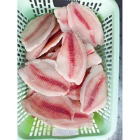 Chine Farm-Raised 7-9 oz Filet de tilapia du Nil noir à peau profonde IWP IVP Sac d'emballage pour poissons congelés