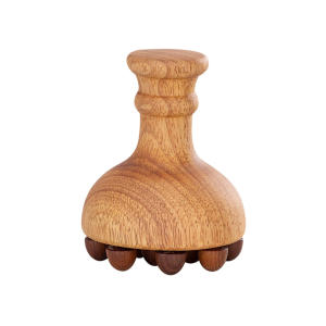 Holztherapie-Massage werkzeuge Holzkörper bürste Faszien blaster Meridian Druck bürste Körperform ung Profession elle Mader oterapia - Product Image 6
