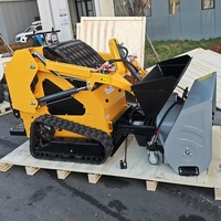 Direkt vom Hersteller Hochwertiger EPA EURO 5 Kleiner Kompaktlader 460 Mini-Radlader