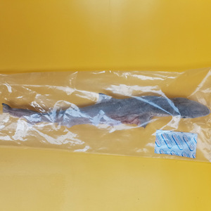 Dondurularak kurutulmuş köpekbalığı yüksek protein çevre dostu köpek aperatif köpek maması yavru toplu ambalaj vitaminleri ve mineraller - Product Image 6