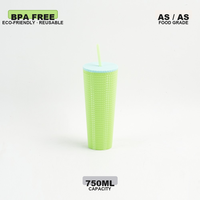 Gobelet portable en plastique de 750 ml, vente en gros, pour café et eau, réutilisable, anti-fuite, sans BPA, qualité alimentaire, pour le bureau et les voyages