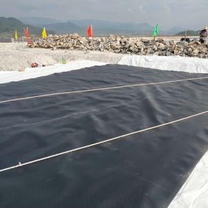<span class=keywords><strong>Precio</strong></span> de fábrica de Geomembrana, revestimiento de estanque de <span class=keywords><strong>Pvc</strong></span>, <span class=keywords><strong>membrana</strong></span> impermeable de <span class=keywords><strong>PVC</strong></span> de 1mm para estanques de peces, presas, Acuicultura - Product Image 4