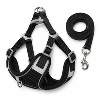 Harnais et laisse réfléchissants anti-traction pour chien, ensemble doux et réglable pour chiens de petite et moyenne taille