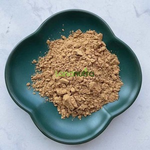 Proveedor de calidad Landnutra 100% extracto de hoja de <span class=keywords><strong>Aloe</strong></span> <span class=keywords><strong>Vera</strong></span> Barbadensis Miller en polvo - Product Image 2