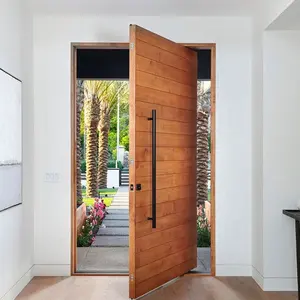 Eksterior Modern pintu kayu solid coklat pivot pintu depan dari vila Eropa dan Amerika dirancang khusus