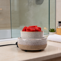 Diffuseur de cire électrique en céramique pour la maison, brûleur de cire parfumée pour aromathérapie, cubes de cire parfumés, cadeau décoratif