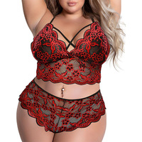 Sous-vêtements sexy Ensemble de culottes de soutien-gorge en dentelle à trois points pris en charge en gros