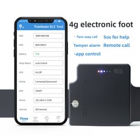 Bracelet électronique de surveillance de cheville en plastique étanche IP68 personnalisé avec GPS GPRS pour assignation à résidence et hôpital, démontable
