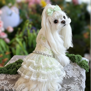 Envío Rápido de Fábrica: Vestidos de Verano de Diseño Suave y Delicado para Perros <span class=keywords><strong>Schnauzer</strong></span> Miniatura, Ideales para Bodas, Fiestas y Festivales de Cumpleaños de Mascotas - Product Image 2