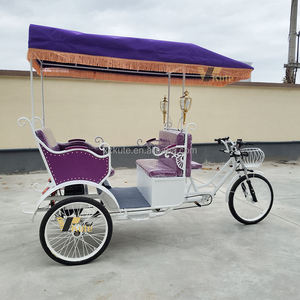 Vente directe d'usine, tricycle 4 places, tricycle à 3 roues/à pédales et à moteur électrique, prix d'usine - Product Image 6