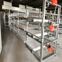 Cage à poulets de type H au meilleur prix avec grattoir manuel pour la collecte du fumier, cages d'élevage de poulets de chair pour petites exploitations avicoles (120 à 2000 poulets)