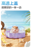 Bucatstate Offre Spéciale Bain de Sable Coquille pour Petits Animaux Hamsters et Gerbilles – Spa Confortable pour Hamsters Nains