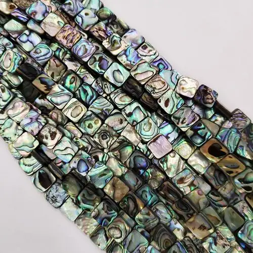 Mehrfarbige quadratische Abalone Paua Muschel perlen 12mm poliert 1446164